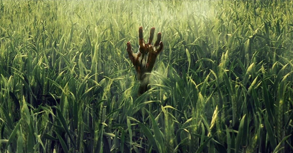 Netflix Merilis Trailer Adaptasi Kisah Stephen King ‘in The Tall Grass Sukasinema 